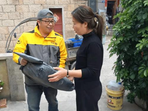 物流助力松阳搭建淘宝村