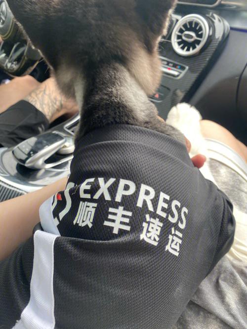 宅急送查询结果失败