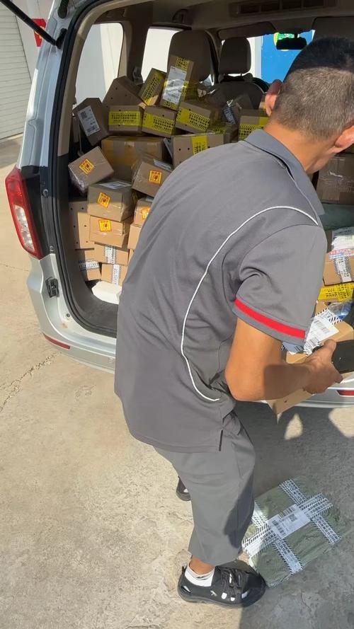 上海鸿汕物流的运营模式与服务质量如何