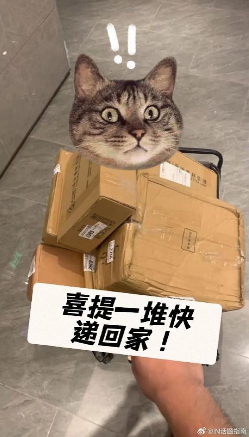 我们需要一部快递法吗