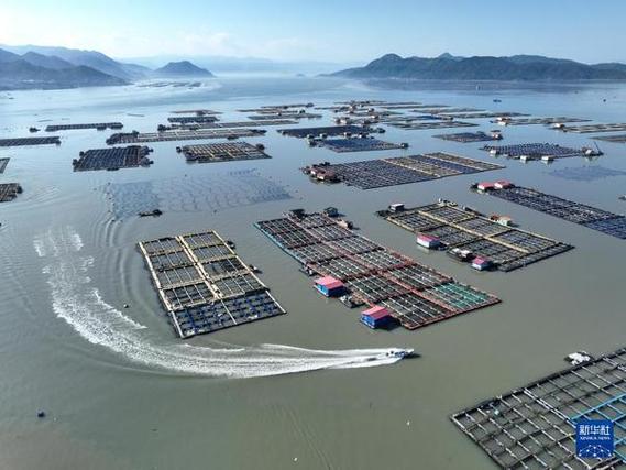 交通部等14部门发文 要求城市货运车辆全面电动