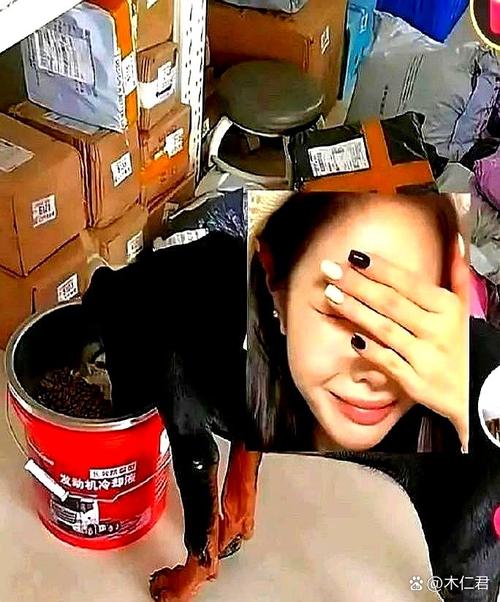 鸿基物流如何快速查询物流信息 详细教程大