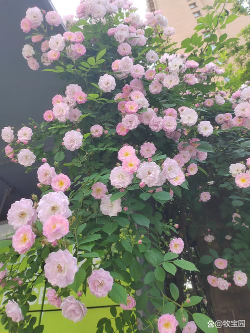 海运费价格走势2025年7月