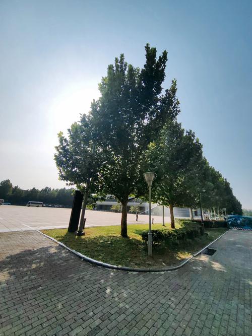 河南物流职业学院2025年录取线