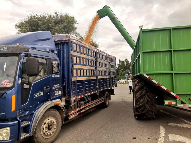 张碧晨张杰 张碧晨张杰三生三世