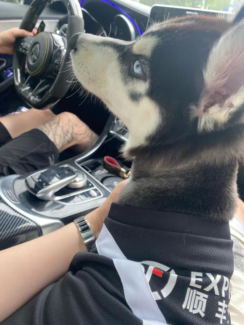 如何做仓储物流策划