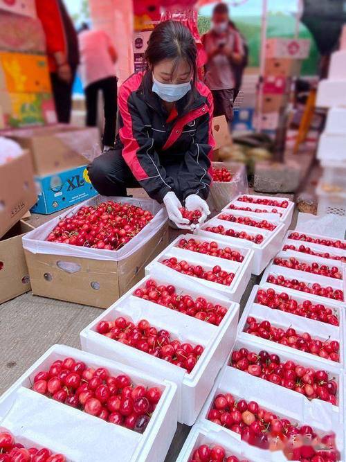 怎么查某个地区能不能寄快递