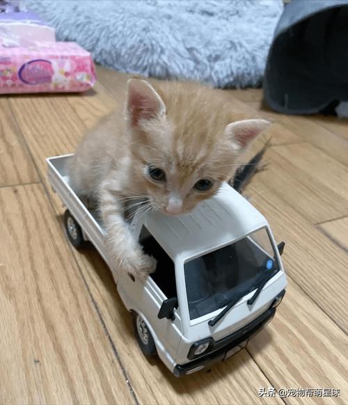 怎么给外国朋友寄东西 怎么给外国朋友寄东西