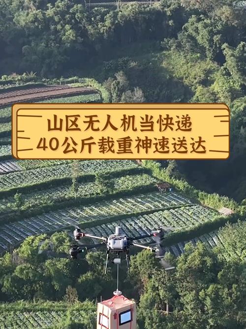 上海畅联世界物流股份有限公司怎么样