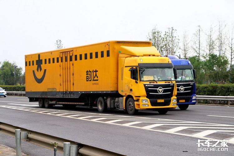 游客下车冲向虎群 野生动物园回应