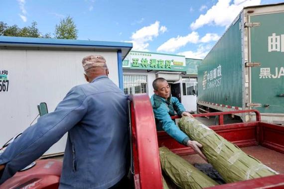 快递已在爆仓边缘 接下来收货或将延迟 快递已在爆仓边缘 接下来收货或将延迟