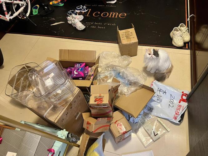 大专物流办理专业 出来做什么作业每月薪酬多少