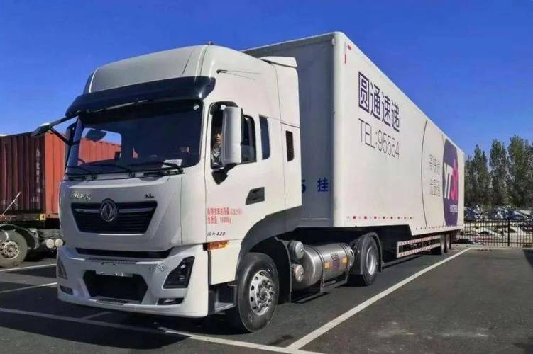 新型电商像送外卖一样送快递