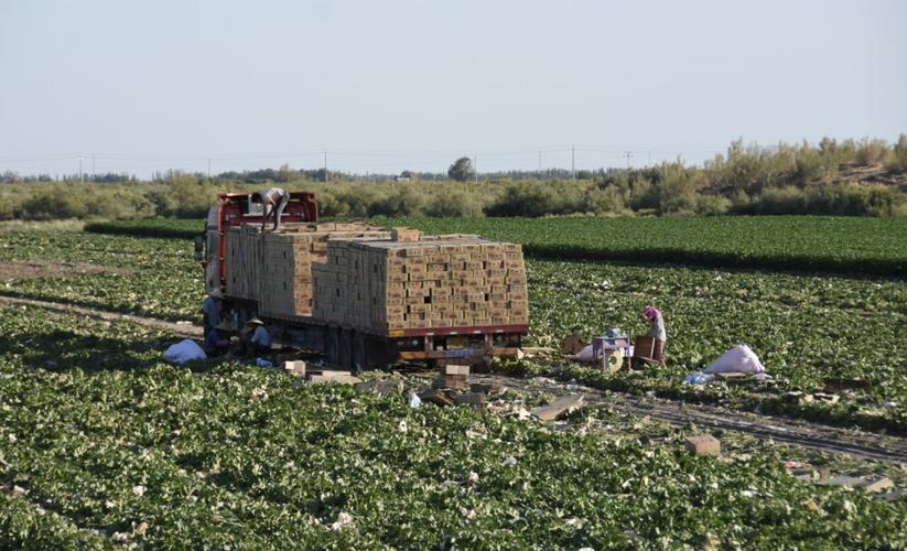 南粤物流股份有限公司
