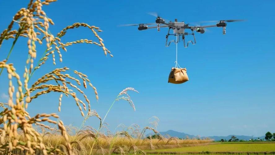 联系京东人工客服的方法