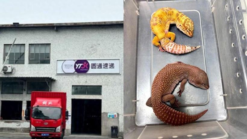 中铁快运招聘是真的吗