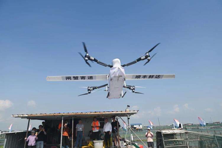 先进物流企业的成功经验与发展趋势如何