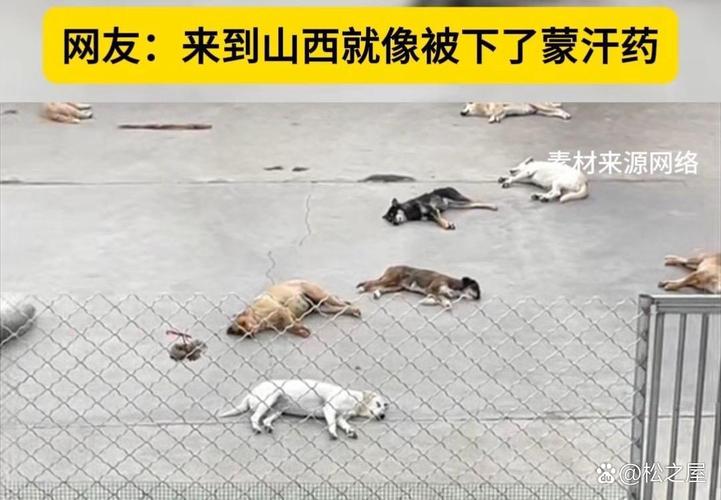 宝供物流董事长刘武对话东盟商界领袖论坛