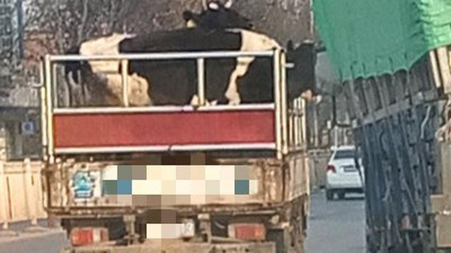 湖北港口航运物流有效服务沿江经济发展