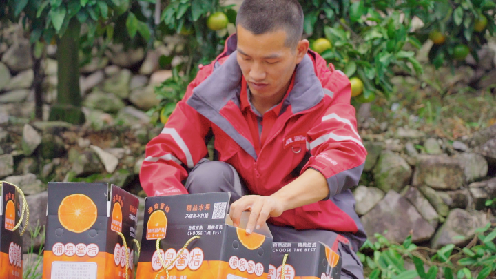 顺丰快递一公斤多少钱运费