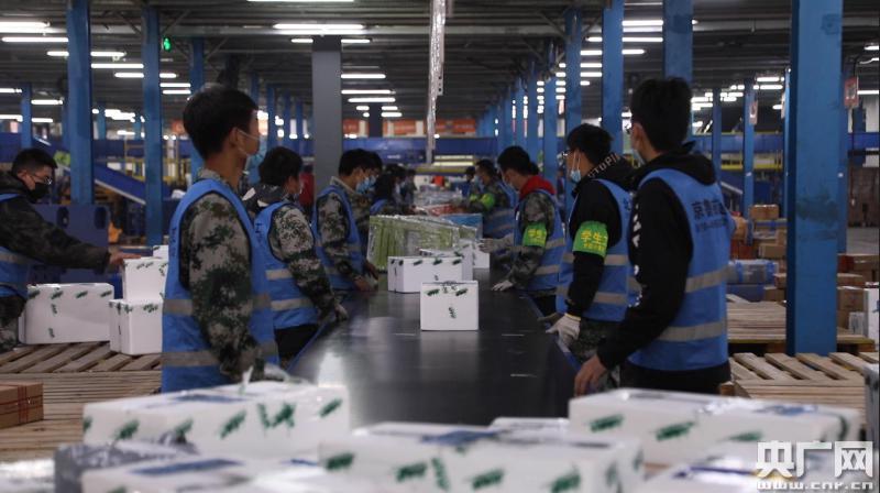 新车牌快递查询方法