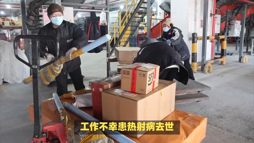 查询物流快递手机号