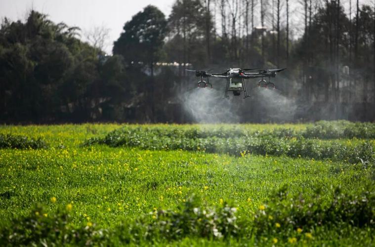 什么是物流办理 我要详细的 结业后做什么的