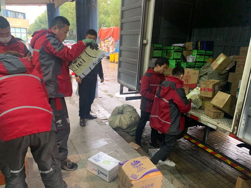 嵌入式开发需要什么技术基础