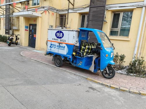 饥饿游戏3嘲笑鸟