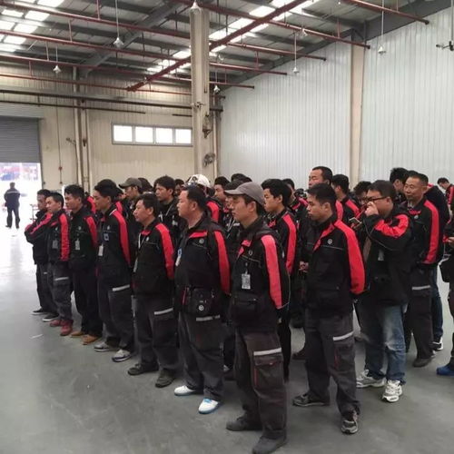 菜鸟网络治理快递污染 一年可省10亿个纸箱 菜鸟网络治理快递污染 一年可省10亿个纸箱