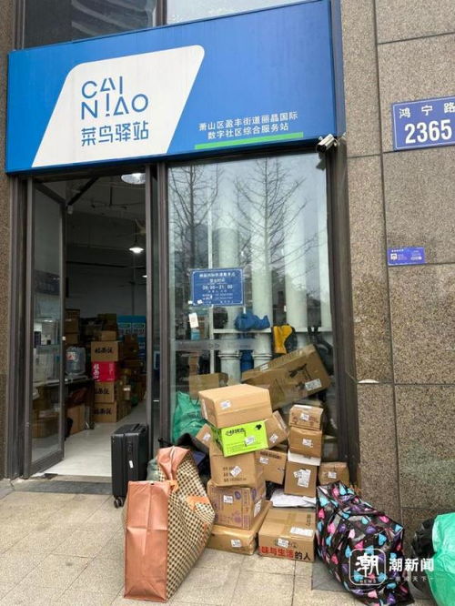 白静乔宇个人资料简介