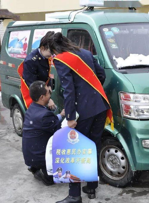 南翔物流 如何提升物流效率与服务质量 南翔物流 如何提升物流效率与服务质量