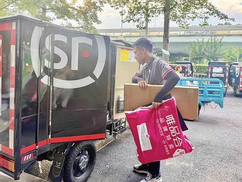 辽东湾新区加快临港物流产业发展