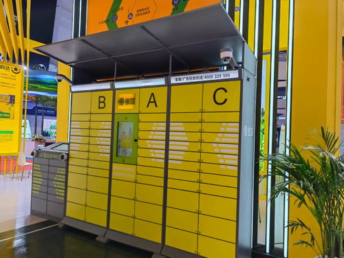 发的快递怎么查询到哪了