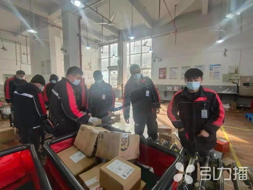 滁州顺丰快递服务体验如何 快递速度与口碑 滁州顺丰快递服务体验如何 快递速度与口碑