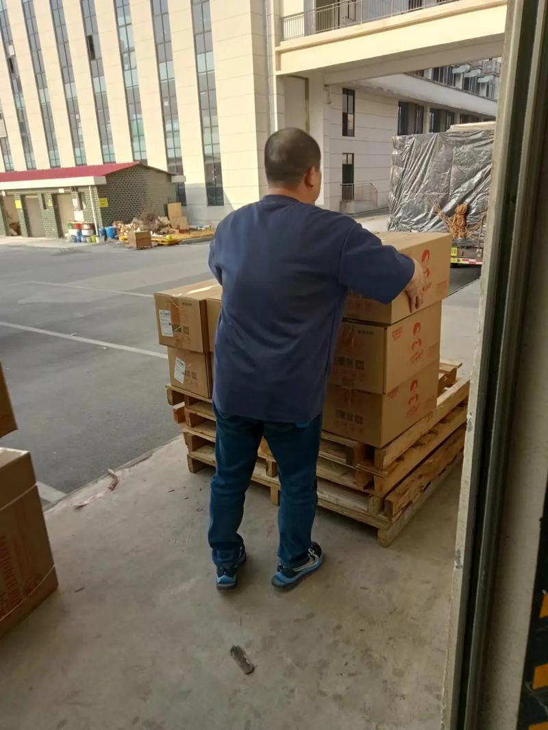 自考大专报名官网入口