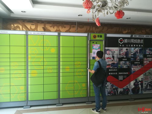 云通物流园 如何优化仓储管理效率