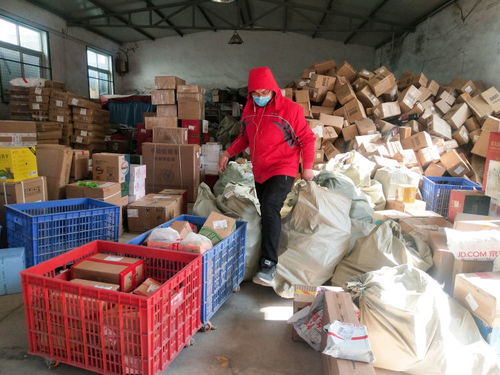 2025中国物流企业排名