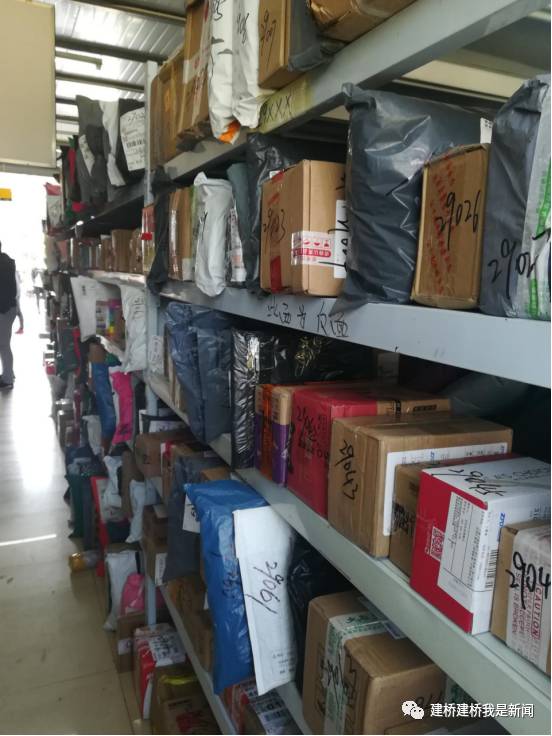 罕见银黑狐现身北京门头沟