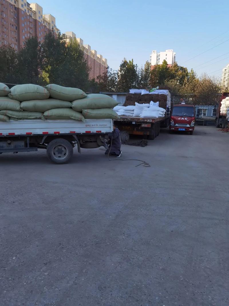 物流行业发展前景预测