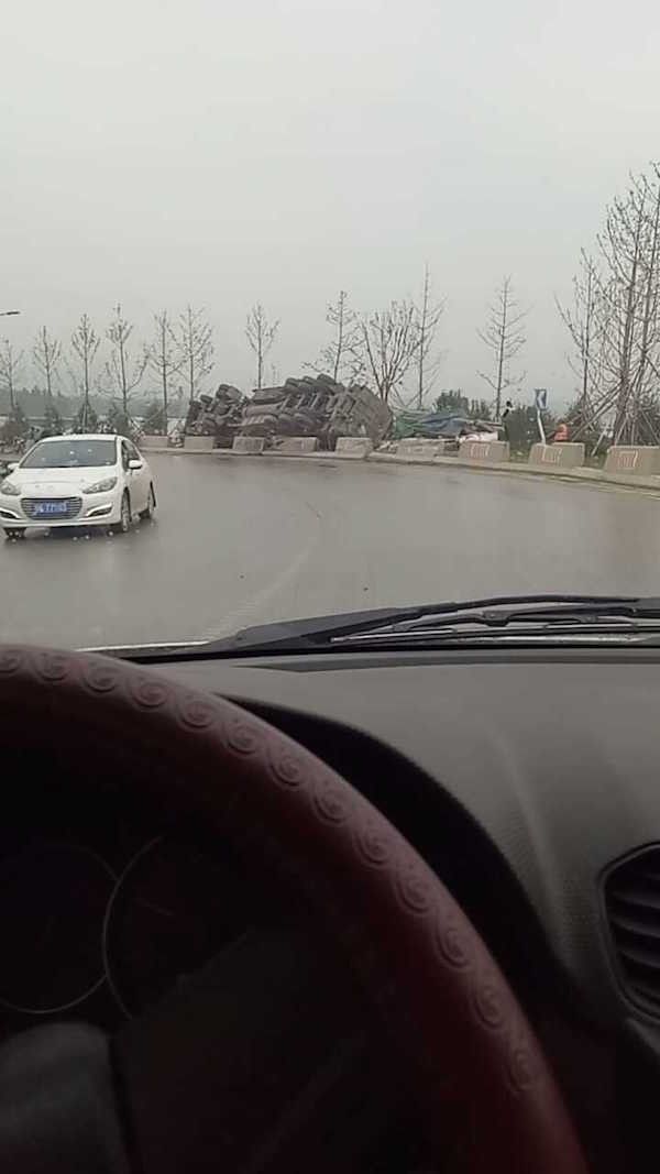 东海物流单号查询指南 如何追踪物流信息