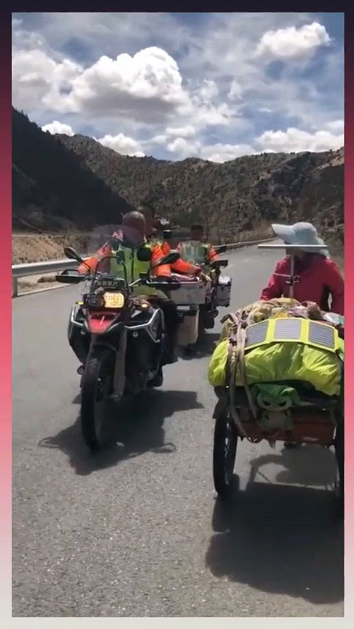 别人的淘宝订单号查询系统