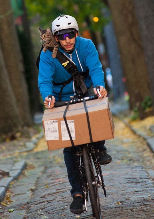 邮政管理说白了就是干什么的