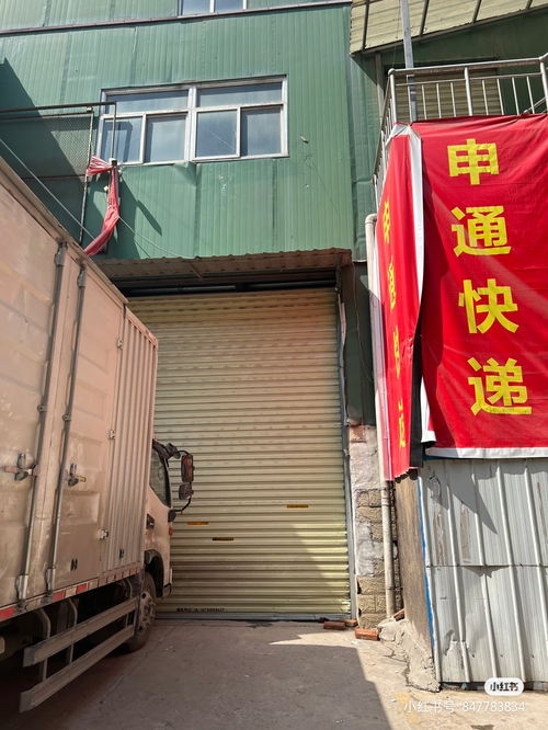 国际货代业务员有前途吗