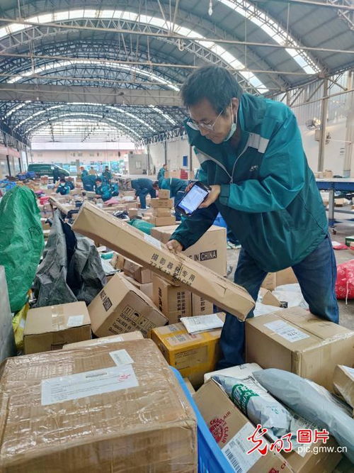 航企如何布局生鲜电商