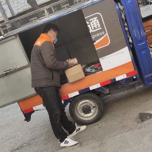 花开无声(花开无声飞翔)