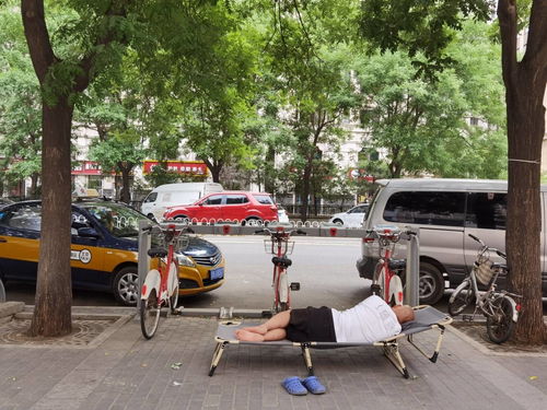 两升一降 三个关键词看懂公路货运现状