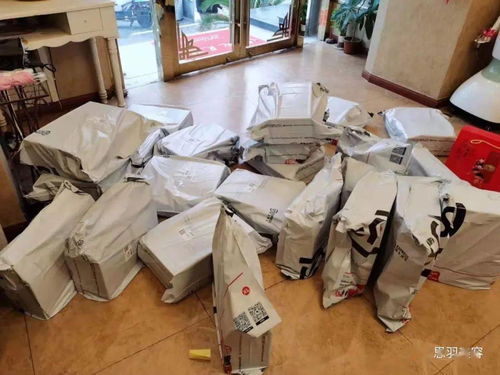 龙邦快递怎么查物流信息