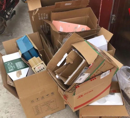 京东2025春节物流数据出炉 快12分钟送达