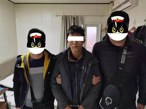 订单号查询快递单号怎么查